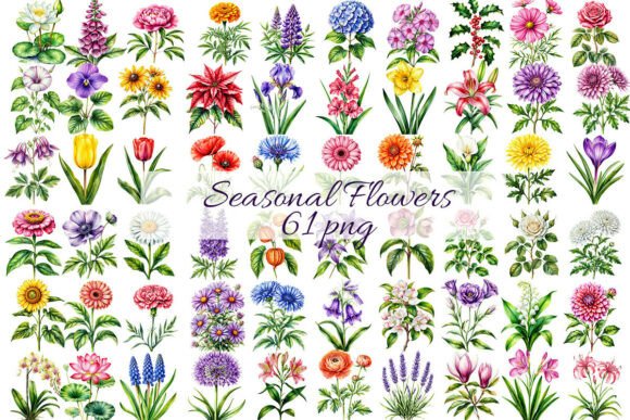 Download 61 Seasonal Flowers by Birth Month. - Premium Resources